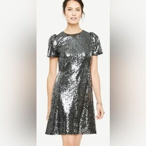Ann Taylor petite sequin lined shift dress Sz 2